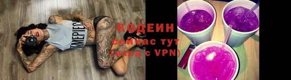 apvp Гусиноозёрск