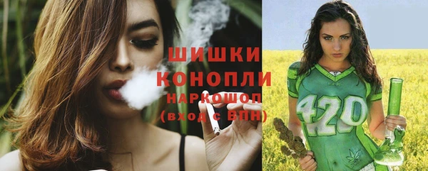 соль ск Гусь-Хрустальный