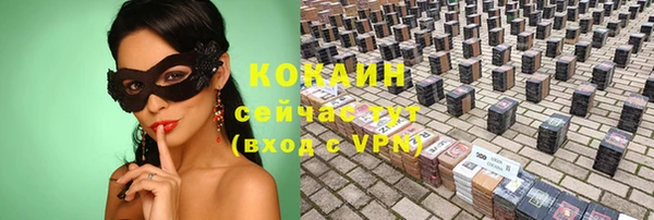 соль ск Гусь-Хрустальный