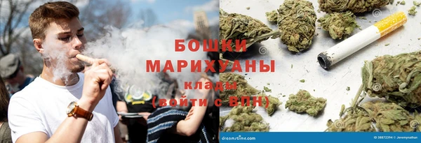 соль ск Гусев